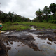 An oil spill site in Kegbara-Dere community in Nigeria’s Niger Delta region